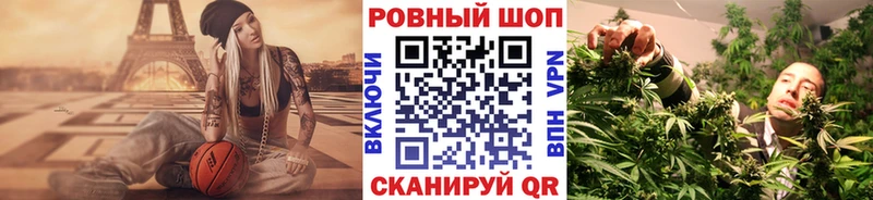 Магазины продажи наркотиков Шенкурск Конопля  COCAIN  Псилоцибиновые грибы  Мефедрон 