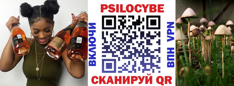 Псилоцибиновые грибы GOLDEN TEACHER  где купить   blacksprut зеркало  Шенкурск 